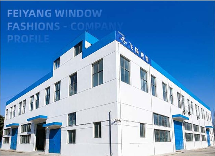 FEIYANG company building